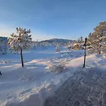 Feriehus Fjellhytte Med Boblebad Og Utsikt Pa Blefjell Flesberg
