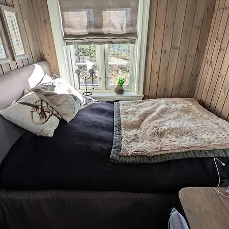 Сasa de vacaciones Fjellhytte Med Boblebad Og Utsikt Pa Blefjell Flesberg