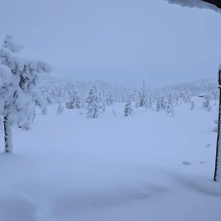Сasa de vacaciones Fjellhytte Med Boblebad Og Utsikt Pa Blefjell