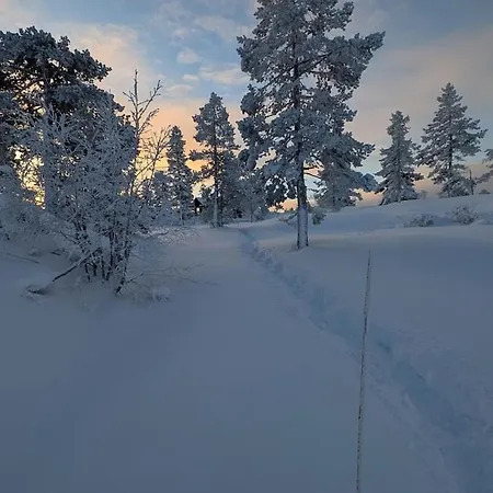 Сasa de vacaciones Fjellhytte Med Boblebad Og Utsikt Pa Blefjell Flesberg