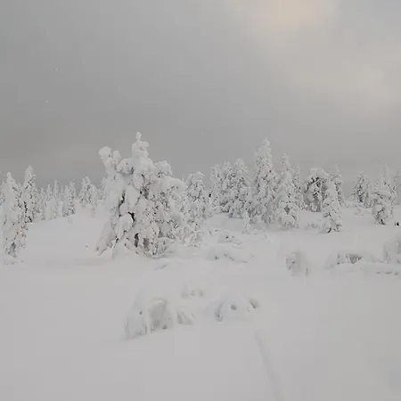 Fjellhytte Med Boblebad Og Utsikt Pa Blefjell Сasa de vacaciones *