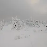 Fjellhytte Med Boblebad Og Utsikt Pa Blefjell بيت للعطل *